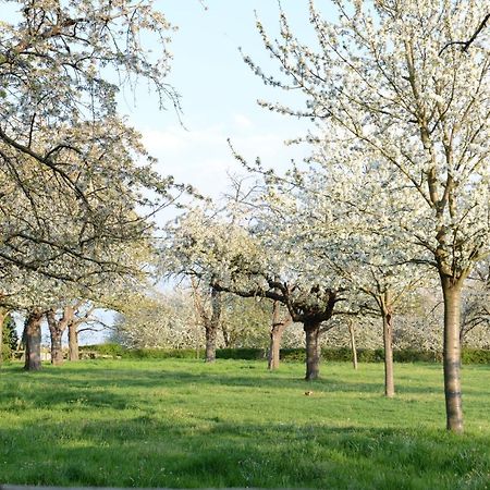 Domein Tombos Gingelom Bagian luar foto